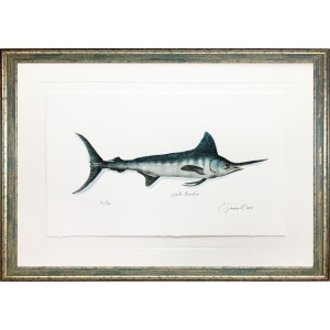 CL- WHITE MARLIN